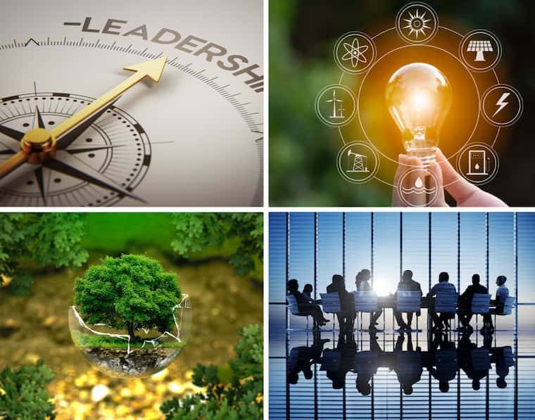 Leading Sustainability: What Directors Need to Know and How to Do It 